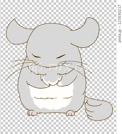 Chinchilla sleeping standing up (gray) 123030217