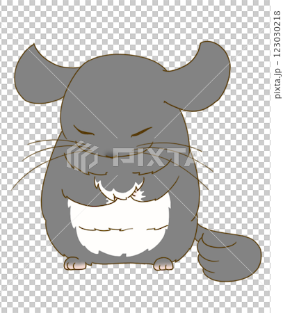 Chinchilla sleeping standing up (Black Velvet) 123030218