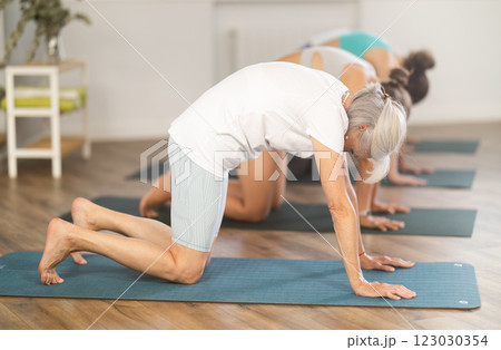 Senior woman doing Cat Cow Stretch during group yoga session Senior woman doing Cat Cow Stretch during group yoga session 123030354