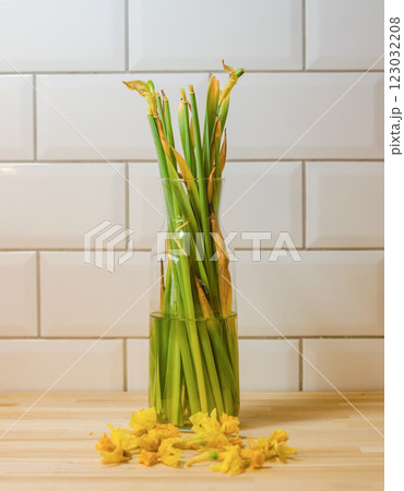 Daffodil stems in vase, wilted flowers fallen in kitchen with white titles . High quality photo Daffodil stems in vase, wilted flowers fallen in kitchen with white titles . High quality photo 123032208