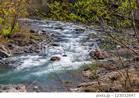 北海道占冠村、山あいを流れる春の鵡川【5月】 123032647