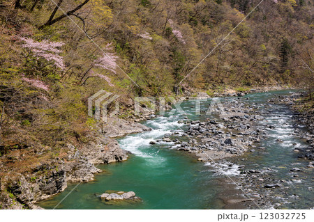 北海道占冠村、山あいを流れる春の鵡川【5月】 123032725