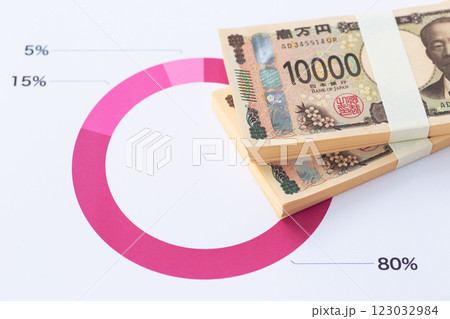 割合と比率のビジネスグラフとお札 123032984
