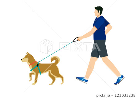 柴犬、秋田犬、犬の散歩、ウォーキングする日本人男性のシンプルなイラスト　フラットデザイン 123033239