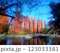 紅葉のある池　鏡池 123033381