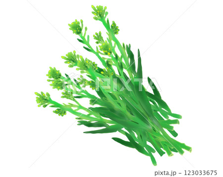 はなっこりーの手描きイラスト 123033675