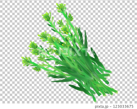 Hanakori 的手繪插圖 Hanakori 的手繪插圖 123033675