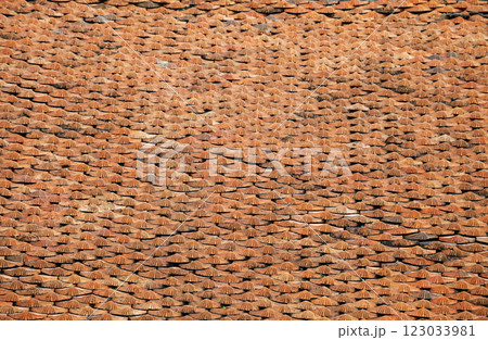 Red tiling, texture 123033981