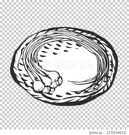 諾比爾的手繪插圖 諾比爾的手繪插圖 123034018