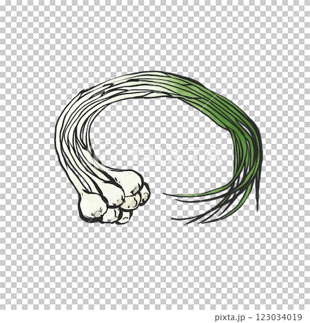 諾比爾的手繪插圖 諾比爾的手繪插圖 123034019