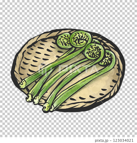 Hand-drawn brush-style illustration of kogomi 123034021