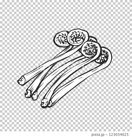 Hand-drawn brush-style illustration of kogomi 123034025