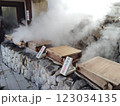 大分県別府の地獄蒸し料理 123034135