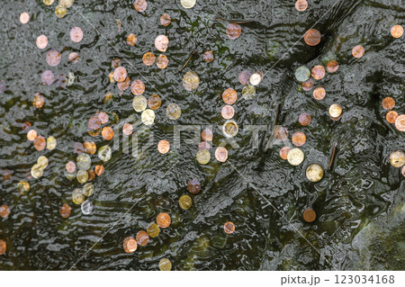 Coins in fountain water thrown by tourists Coins in fountain water thrown by tourists 123034168