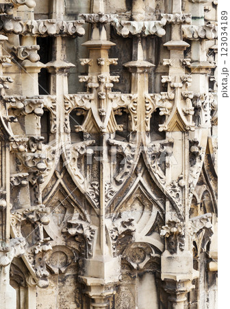 Details of the facade of the St. Stephen's cathedral, Vienna Details of the facade of the St. Stephen's cathedral, Vienna 123034189