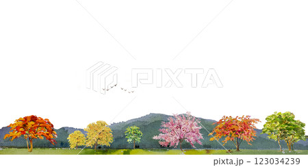 Colorful of seasonal flower, field farm meadow and scenery in mountain range. Colorful of seasonal flower, field farm meadow and scenery in mountain range. 123034239