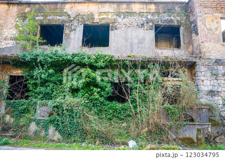 The ruins of an old brick house overgrown with ivy in Montenegro 123034795