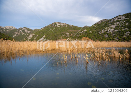 Trees and reeds on River Crnojevica, place near Lake Skadar in Montenegro surrounded by mountain peaks in winter time 123034805