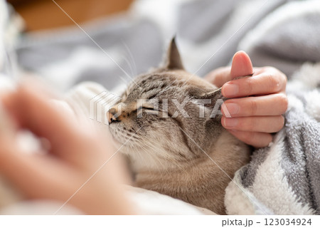 ネコを抱く 123034924