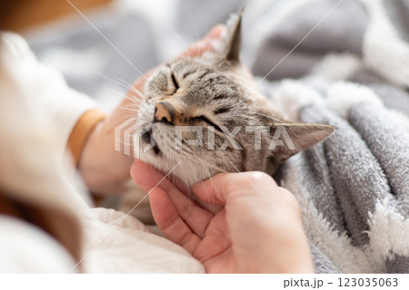 ネコを抱く 123035063
