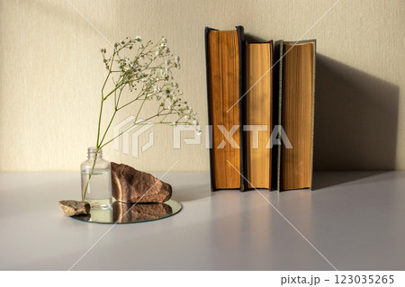 Three old books an branch of a white gypsophila flower standing on a bottle and on a round mirror 123035265