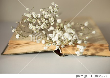 Opened old book with white gypsophila flowers on table close-up Opened old book with white gypsophila flowers on table close-up 123035275