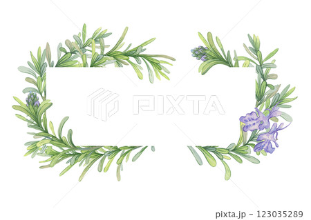 Frame of branches of blooming rosemary. Watercolor illustration of fresh green stems. Composition suitable for decorating covers of cosmetics, essential oils, and other natural products Frame of branches of blooming rosemary. Watercolor illustration of fresh green stems. Composition suitable for decorating covers of cosmetics, essential oils, and other natural products 123035289