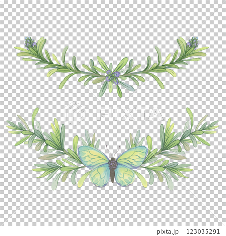 Watercolor composition of Rosemary branches with butterfly. Illustration of springs perfect for decorating packaging of cosmetics, natural products, essential oils, soap and herbal-themed designs 123035291
