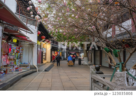 中国 南京市の繁華街、南京夫子廟の商店街 123035808