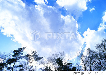 青空と雲イメージ 123037103