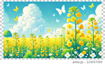 菜の花畑のある風景イラスト 菜の花畑のある風景イラスト 123037393