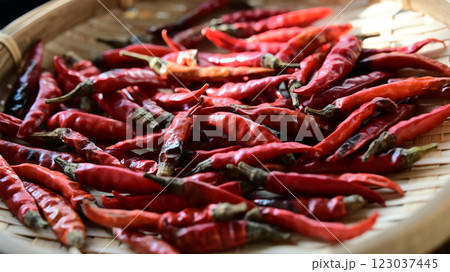 唐辛子　鷹の爪 123037445