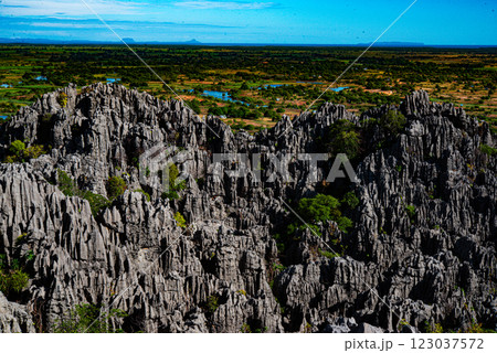 マダガスカル ツィンギー国立公園 マダガスカル ツィンギー国立公園 123037572