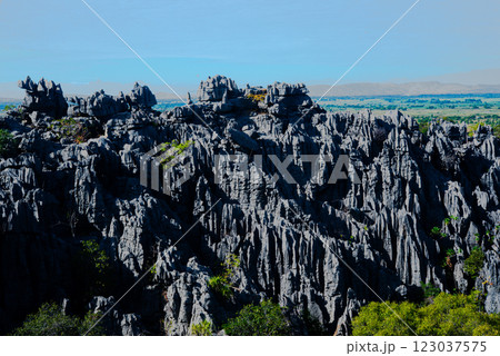 マダガスカル　ツィンギー国立公園 123037575