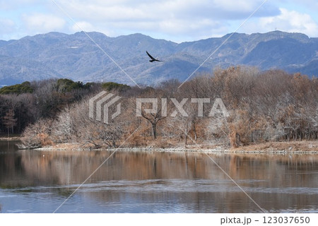 大阪伊丹空港離陸コース直下　日本列島が目印　飛行機と野鳥が舞う　都会のオアシス伊丹昆陽池公園 123037650