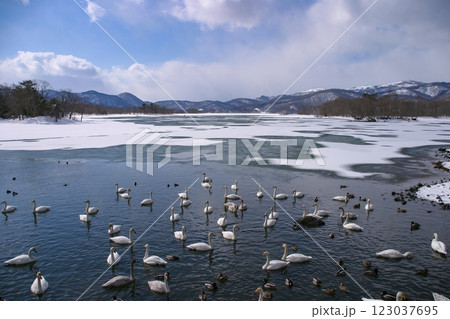 結氷した湖 123037695
