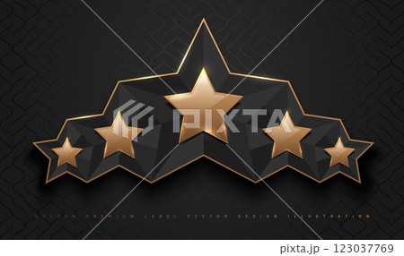 Gold glossy 5 star top rank logo badge frame. Luxury polygonal stone sign, golden rim border, black background. Abstract vector premium achievement five star glass icon. Reflection gold light effect 123037769