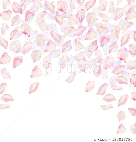 Frame with sakura flowers on background. Spring blooming cherry blossom flowers for Hanami festival. Delicate shades of pink, lilac, lilac, purple petals. Watercolor template for card, poster, web Frame with sakura flowers on background. Spring blooming cherry blossom flowers for Hanami festival. Delicate shades of pink, lilac, lilac, purple petals. Watercolor template for card, poster, web 123037780