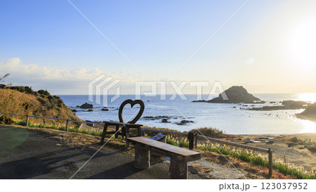 下田市の爪木崎の冬 下田市の爪木崎の冬 123037952