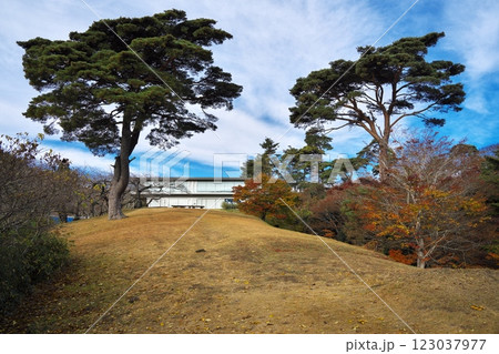 晩秋の西行戻しの松公園　松島を一望できるカフェ ル・ロマン 123037977