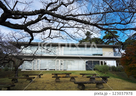 晩秋の西行戻しの松公園　松島を一望できるカフェ ル・ロマン 123037978