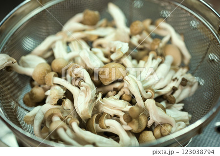 ザルに入れたシメジ 123038794