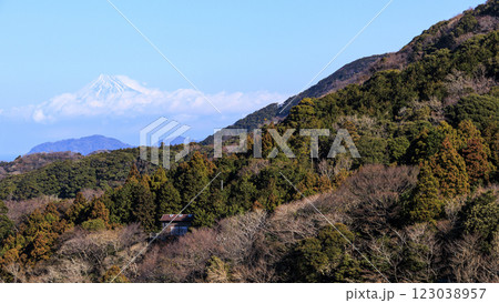 富士山の見える棚田である石部棚田の冬 富士山の見える棚田である石部棚田の冬 123038957