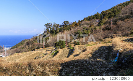 富士山の見える棚田である石部棚田の冬 123038960