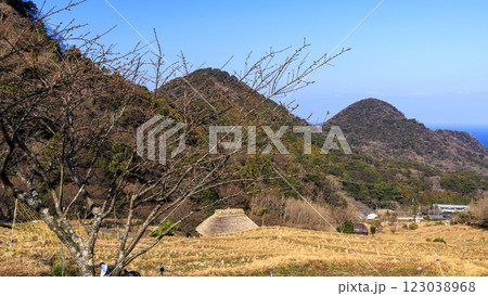 富士山の見える棚田である石部棚田の冬 富士山の見える棚田である石部棚田の冬 123038968