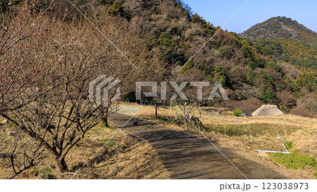 富士山の見える棚田である石部棚田の冬 123038973