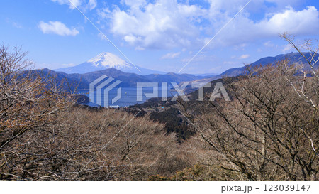 箱根町大観山からみた富士山と芦ノ湖 123039147