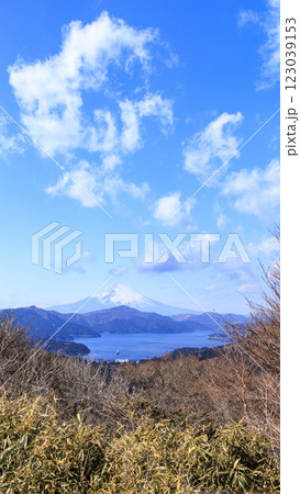 箱根町大観山からみた富士山と芦ノ湖 123039153