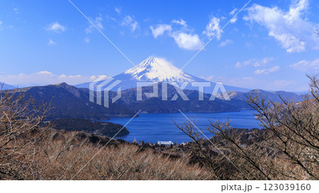 箱根町大観山からみた富士山と芦ノ湖 123039160