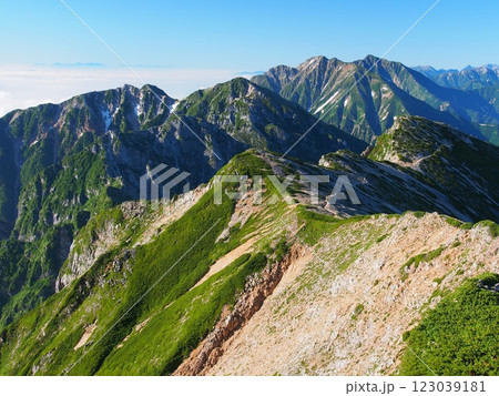 白馬岳から望む夏の五龍岳と鹿島槍ヶ岳 123039181